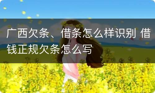 广西欠条、借条怎么样识别 借钱正规欠条怎么写