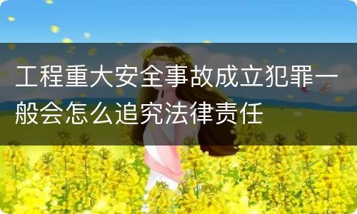 工程重大安全事故成立犯罪一般会怎么追究法律责任