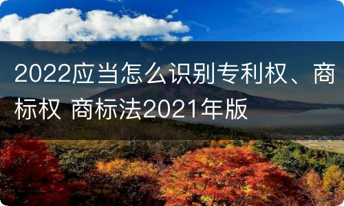 2022应当怎么识别专利权、商标权 商标法2021年版