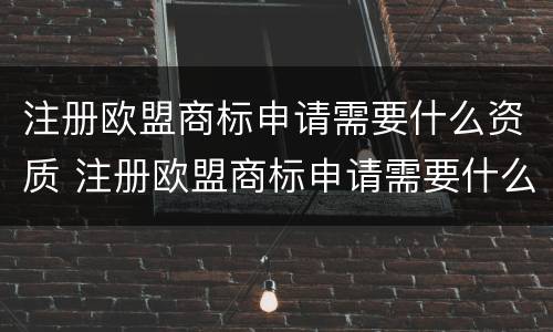 注册欧盟商标申请需要什么资质 注册欧盟商标申请需要什么资质呢