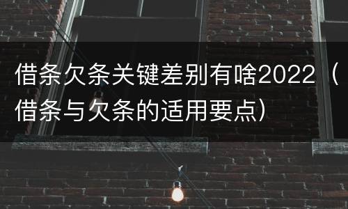 借条欠条关键差别有啥2022（借条与欠条的适用要点）