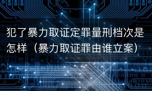 犯了暴力取证定罪量刑档次是怎样（暴力取证罪由谁立案）