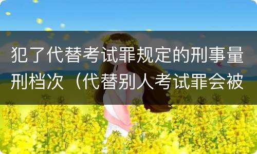 犯了代替考试罪规定的刑事量刑档次（代替别人考试罪会被禁考么）