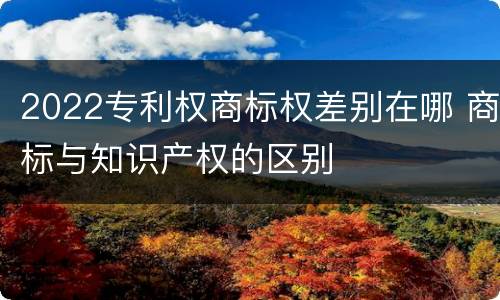 2022专利权商标权差别在哪 商标与知识产权的区别