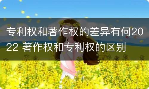 专利权和著作权的差异有何2022 著作权和专利权的区别