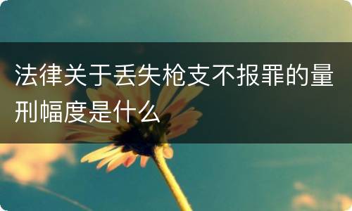 法律关于丢失枪支不报罪的量刑幅度是什么