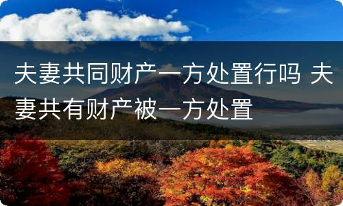 夫妻共同财产一方处置行吗 夫妻共有财产被一方处置