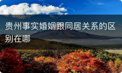 贵州事实婚姻跟同居关系的区别在哪