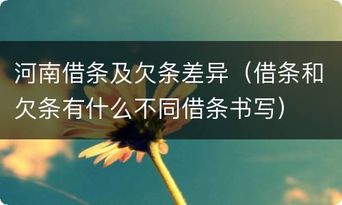 河南借条及欠条差异（借条和欠条有什么不同借条书写）