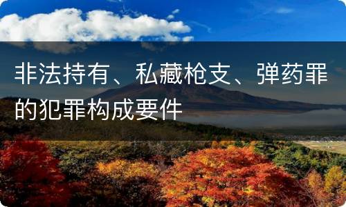 非法持有、私藏枪支、弹药罪的犯罪构成要件
