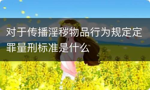 对于传播淫秽物品行为规定定罪量刑标准是什么