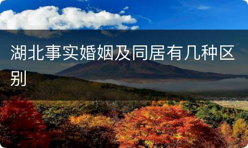 湖北事实婚姻及同居有几种区别