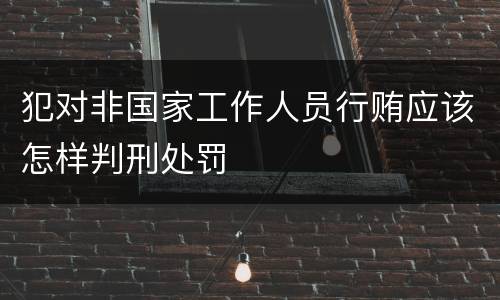 犯对非国家工作人员行贿应该怎样判刑处罚