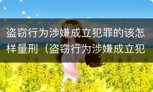 盗窃行为涉嫌成立犯罪的该怎样量刑（盗窃行为涉嫌成立犯罪的该怎样量刑呢）