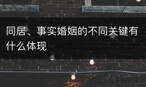 同居、事实婚姻的不同关键有什么体现