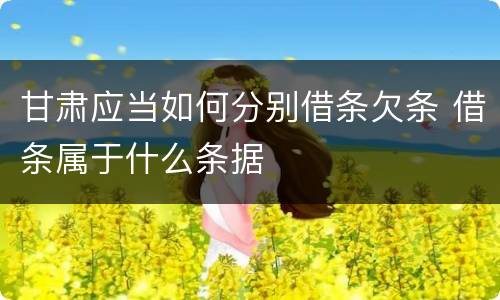甘肃应当如何分别借条欠条 借条属于什么条据
