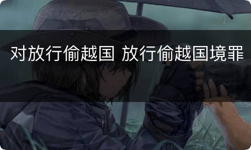对放行偷越国 放行偷越国境罪