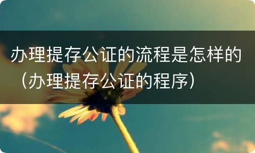 办理提存公证的流程是怎样的（办理提存公证的程序）