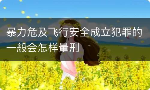 暴力危及飞行安全成立犯罪的一般会怎样量刑