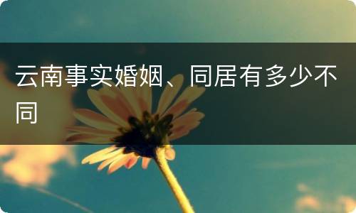 云南事实婚姻、同居有多少不同