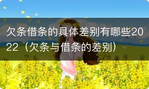 欠条借条的具体差别有哪些2022（欠条与借条的差别）