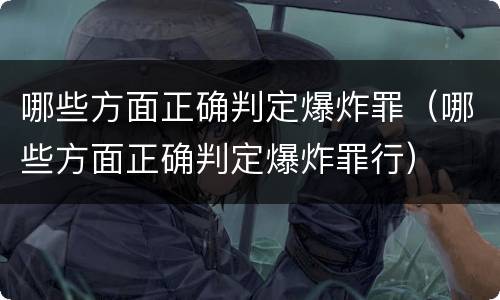 哪些方面正确判定爆炸罪（哪些方面正确判定爆炸罪行）