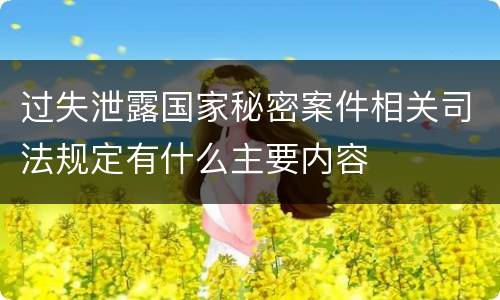 过失泄露国家秘密案件相关司法规定有什么主要内容