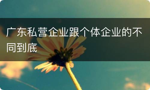 广东私营企业跟个体企业的不同到底