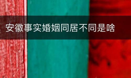 安徽事实婚姻同居不同是啥