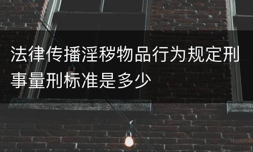 法律传播淫秽物品行为规定刑事量刑标准是多少