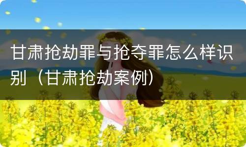 甘肃抢劫罪与抢夺罪怎么样识别（甘肃抢劫案例）