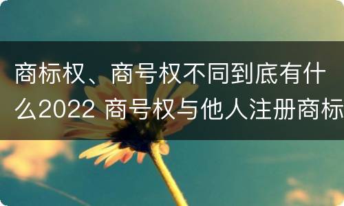 商标权、商号权不同到底有什么2022 商号权与他人注册商标专用权的冲突