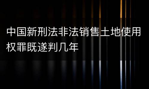 中国新刑法非法销售土地使用权罪既遂判几年