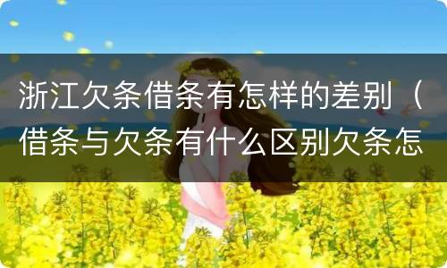 浙江欠条借条有怎样的差别（借条与欠条有什么区别欠条怎么写）