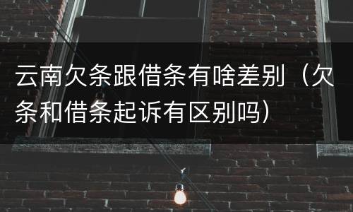 云南欠条跟借条有啥差别（欠条和借条起诉有区别吗）
