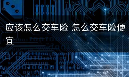 应该怎么交车险 怎么交车险便宜