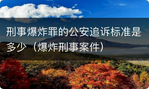 刑事爆炸罪的公安追诉标准是多少（爆炸刑事案件）