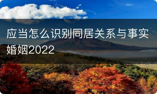 应当怎么识别同居关系与事实婚姻2022