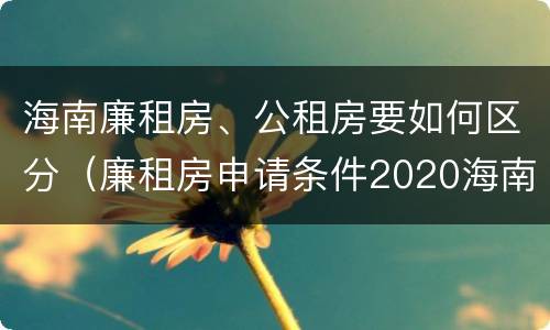 海南廉租房、公租房要如何区分（廉租房申请条件2020海南）