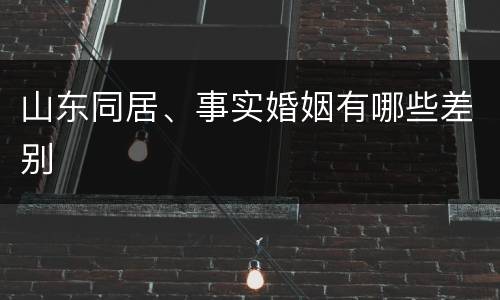 山东同居、事实婚姻有哪些差别
