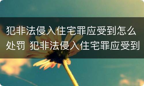 犯非法侵入住宅罪应受到怎么处罚 犯非法侵入住宅罪应受到怎么处罚呢