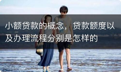 小额贷款的概念，贷款额度以及办理流程分别是怎样的