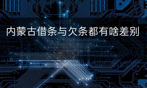 内蒙古借条与欠条都有啥差别