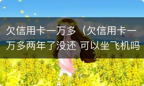 欠信用卡一万多（欠信用卡一万多两年了没还 可以坐飞机吗）