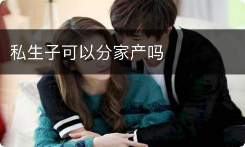 私生子可以分家产吗