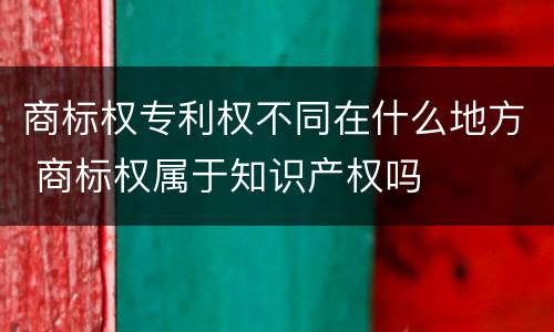 商标权专利权不同在什么地方 商标权属于知识产权吗