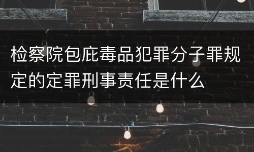 检察院包庇毒品犯罪分子罪规定的定罪刑事责任是什么