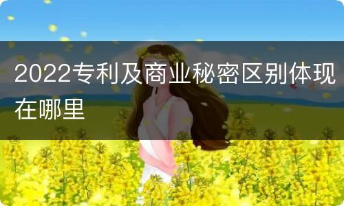 2022专利及商业秘密区别体现在哪里