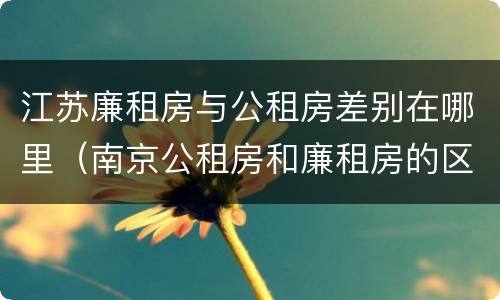 江苏廉租房与公租房差别在哪里（南京公租房和廉租房的区别）