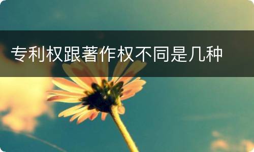 专利权跟著作权不同是几种